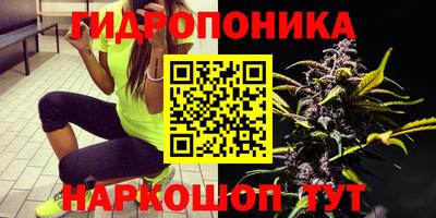 2c-b Новоалександровск