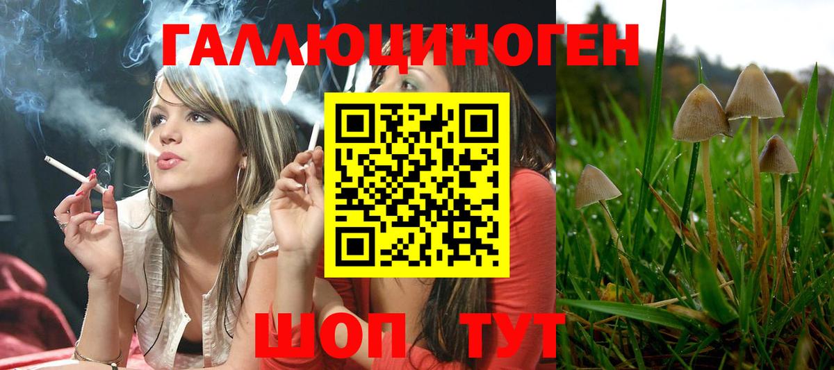 Иваново  Псилоцибиновые грибы ЛСД  Вход с VPN 